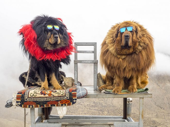 Fiebre por la Fotografía en China